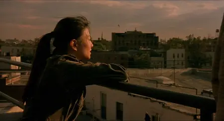 Saving Face (2004)