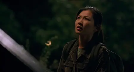 Saving Face (2004)