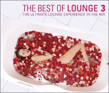 VA - The Best Of Lounge 3 - The Ultimate Lounge Experience In The Mix (2011)