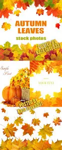 Autumn leaves 2