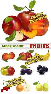 Fruit vector 2