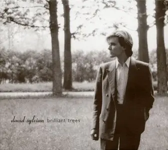 David Sylvian - Brilliant Trees (1984) {Reissue 2006)