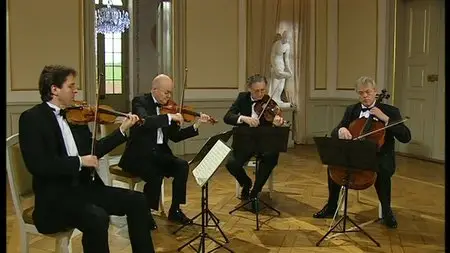 Mozart The Famous String Quartets - Gewandhaus-Quartett (2005) DVD9