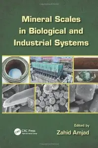 Mineral Scales in Biological and Industrial Systems