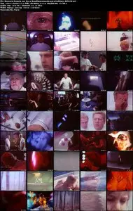 Las Bestias no se Miran al Espejo / Memoria (1978)