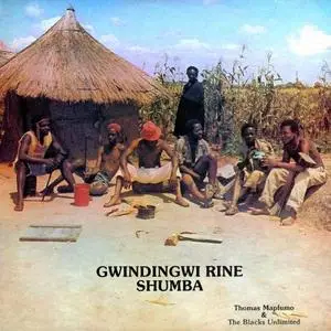 Thomas Mapfumo & The Blacks Unlimited - Gwindingwi Rine Shumba (1981/2009)