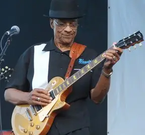 Hubert Sumlin - About Them Shoes (2005)