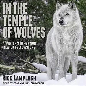 In the Temple of Wolves: A Winter's Immersion in Wild Yellowstone [Audiobook]