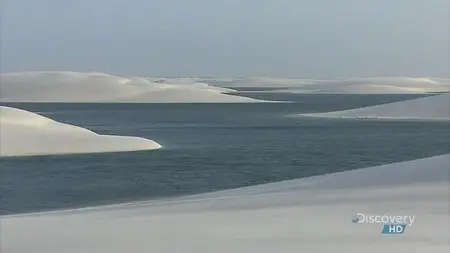 NHK Nature Wonder Land - Fish Springing from Sand Dunes (2008)