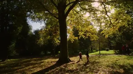 BBC - The Great British Year (2013)