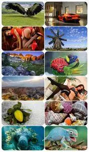 Beautiful Mixed Wallpapers Pack 640