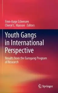 Youth Gangs in International Perspective: Results from the Eurogang Program of Research (Repost)