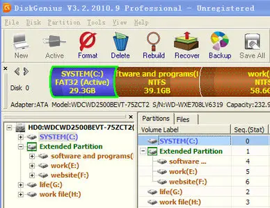 DiskGenius Professional 3.3.0525 Portable