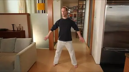 Discover Qi - Lee Holden (Qi Gong)