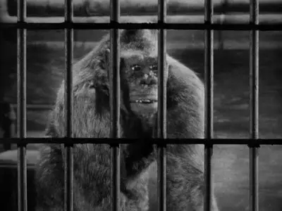 Mighty Joe Young (1949)