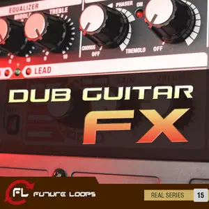 Future Loops Dub Guitars Fx WAV