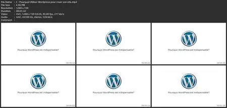 Wordpress | Devenez Créateur De Site Web - Cours De A À Z