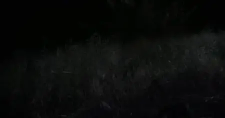 Medal of Honor S01E07