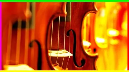 Violin Beginner to Advanced Vibrato - VIBRATO MASTER COURSE