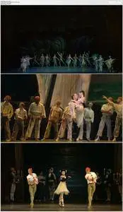 Frederick Ashton, The Orchestra of the Royal Opera House, Miyako Yoshida, Edward Watson - Henze: Ondine (2010) [Blu-ray]