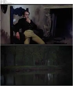 Nosferatu the Vampyre (1979) [English Version]
