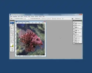 Video2Brain - Adobe Photoshop CS3 für Fotografen