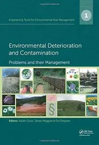 Engineering Tools for Environmental Risk Management (Repost)