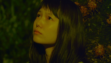 Kiiroi zô / Yellow Elephant (2013)