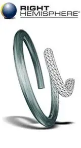 Right Hemisphere Deep Exploration CAD v6.0 ISO Win32/Win64