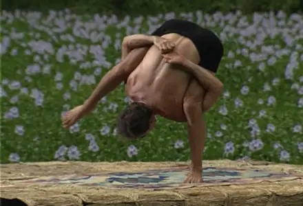 Ashtanga Yoga with David Swenson - Short Forms