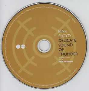 Pink Floyd - Delicate Sound Of Thunder (2020) {2CD Set, Pink Floyd Records ‎PFR36} (Complete Artwork)