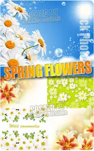 Spring Flowers 5 - UHQ Stock Photo