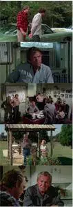 Final Chapter: Walking Tall (1977)
