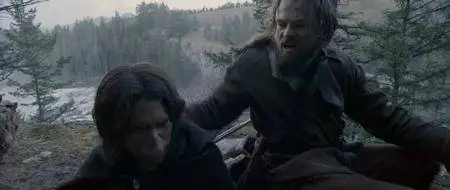 The Revenant (2015)