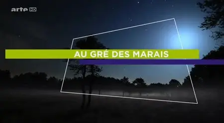 (Arte) Au gré des marais (2013)