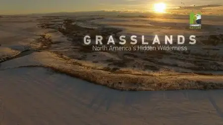 Grasslands: North-America's hidden Wilderness (2019)