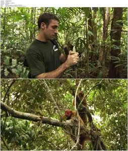 Uakari: Secrets of the English Monkey (2009)