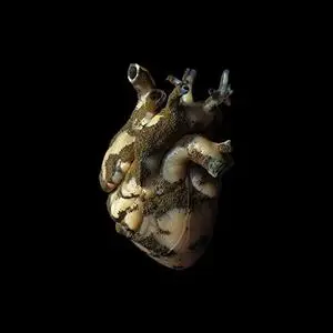 Highasakite - Uranium Heart (2019)
