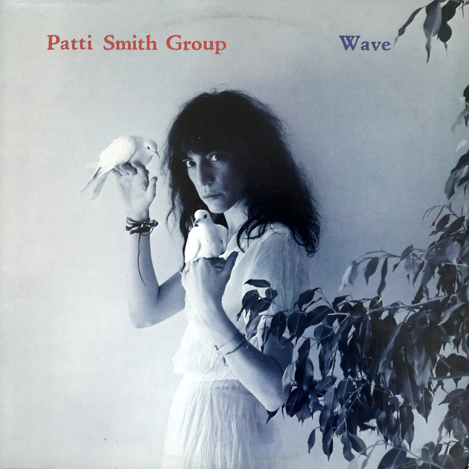 Patti smith wave rare