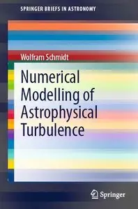Numerical Modelling of Astrophysical Turbulence
