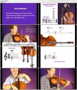 Ask Video Orchestration 101: The String Section (2014)