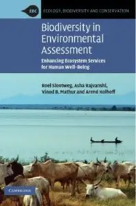 Biodiversity in Environmental Assessment: Enhancing Ecosystem Services for Human Well-Being