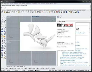 Rhino 6 WIP version 6.0.17241.13071