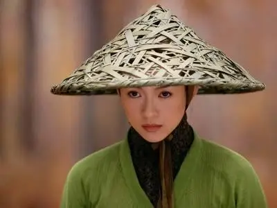 Zhang Ziyi Wallpapers