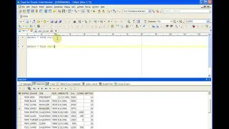 Learning Path: Beginner Oracle Developer