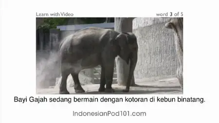 Indonesianpod101