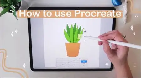 Procreate for Beginners: Learn The Basics & How To Draw