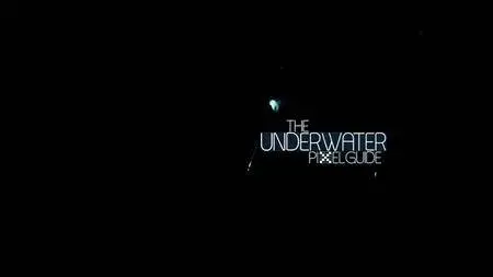 Postorgasmickitchen - The Underwater Pixelguide (2012)