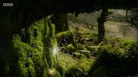 BBC.Documentaries.S2013E47.Edwardian.Insects.on.Film.720p.iP.WEB-DL.AAC2.0.H.264-RTN-Obfuscated S2013E47