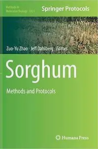 Sorghum: Methods and Protocols